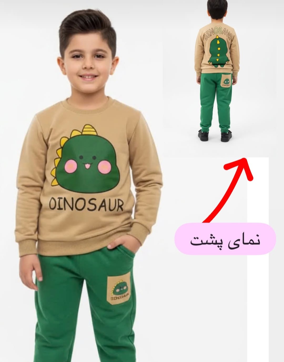 ست دایناسور پشت و رو